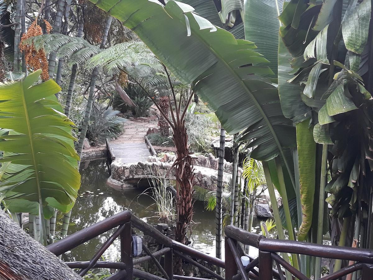 Moholoholo Ya Mati ξενώνας Kampersrus AH Εξωτερικό φωτογραφία